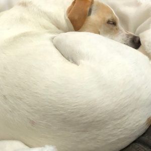 Meet your Posher, Catherine